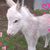 Judy P.'s profile image