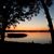 Jenny Van Tassel's profile image