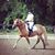 Jessica Warmington Dietz's profile image