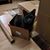 JoAnne Cole Riste's profile image