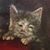 Ira Byelick's profile image