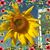 Kimberly Skaggs's profile image