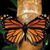 Raquel Navarrete's profile image