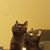 Mike Zahner's profile image