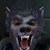 Cody Hockey's profile image