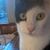 Ronni Sifer's profile image