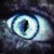 Dash Piel's profile image