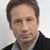 Neil Steiger's profile image