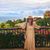 Asima Rashid's profile image