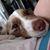 Holly Deitchman's profile image