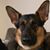 Bobbie Rowe's profile image
