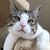 Melissa Sewell's profile image