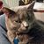 Tracy Kirk Newcomb's profile image