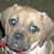 Barry Doucette's profile image