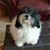 Deborah Rutledge's profile image