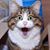 Rachel Sullivan's profile image
