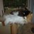 Maggie Phillips's profile image