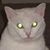 Penny Preston's profile image