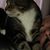 Arjin Combs's profile image