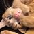 Lynn Digby's profile image