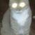 Tina Sanchez's profile image