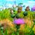 Donna Harrison's profile image