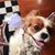 Karen Ott's profile image