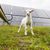 Kristina Nixon's profile image