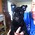Kim Boatright's profile image