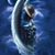 Cassie Worrell's profile image