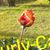 Catherine Cardera's profile image