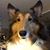 Trish Herzog's profile image
