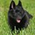 Christine Blackmon's profile image