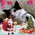 Betty List's profile image