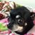 Phoenicia Thomas's profile image