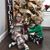 Jamie Michelle McCutchen's profile image