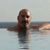 Darren Schaefer's profile image