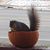 Jessie Dunn's profile image