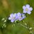 Ferdi Businger's profile image