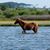 Karen L. Peters's profile image