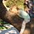 Joan Caratan Lenny's profile image