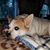 Karen Grace Weatherhead's profile image