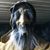 Jon Hurst's profile image