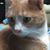 Nancy Golden's profile image