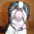 Tracey Brooks's profile image