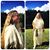 Wendy Overly's profile image