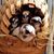 Terri Lamke's profile image