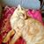 Susan Fegler's profile image