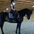 Elizabeth Busbee's profile image