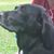 Jane Olszewski's profile image